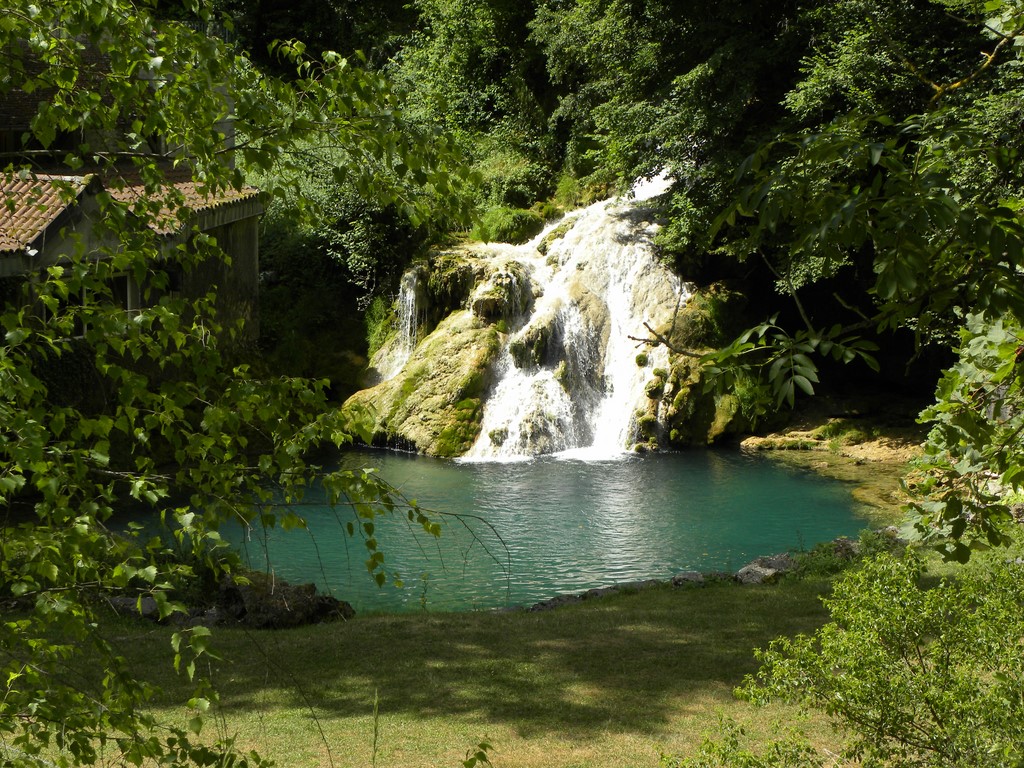 DSCN3009