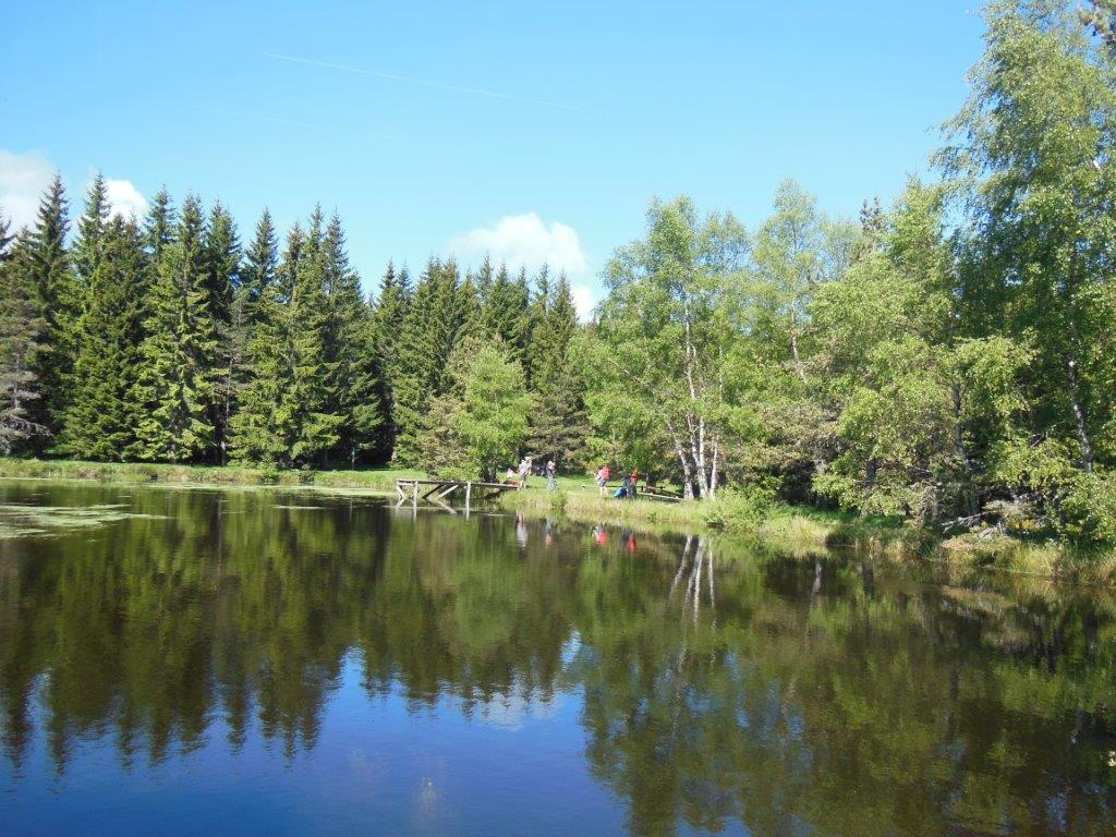DSCN8030